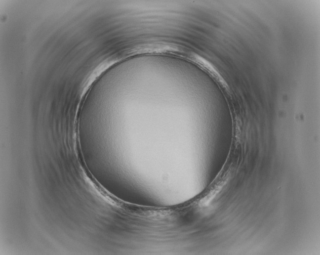 X0000075360802200609291459