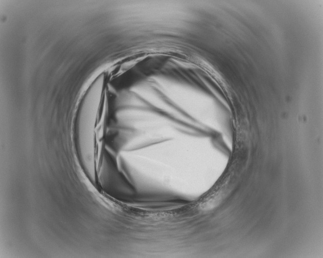 X0000075360803200609291459