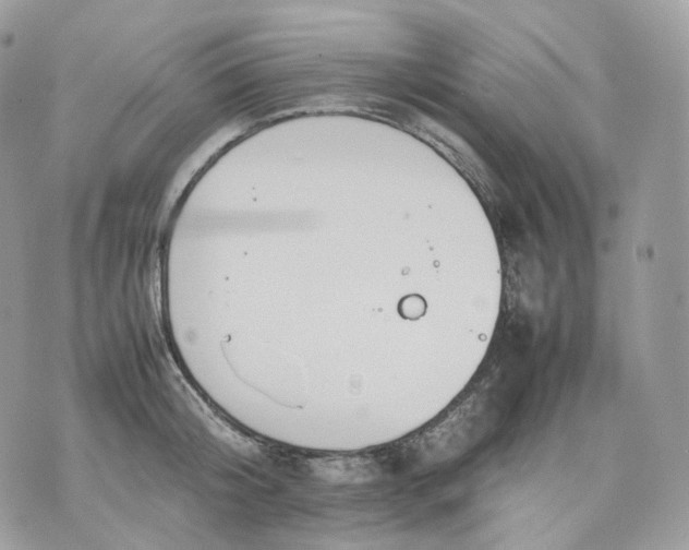 X0000075360804200609291459