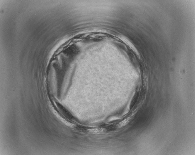 X0000075360805200609291459