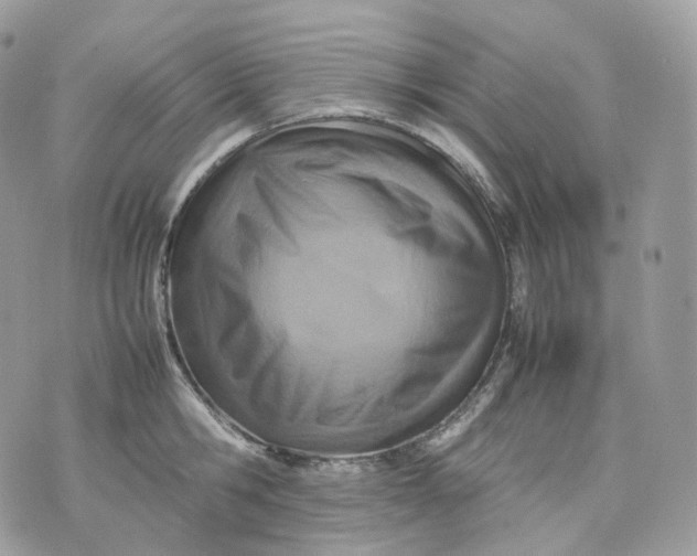 X0000075360806200609291459