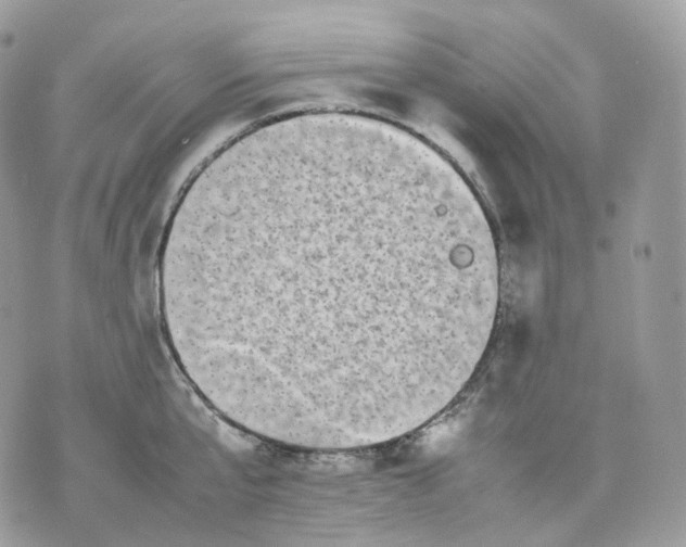 X0000075360807200609291459