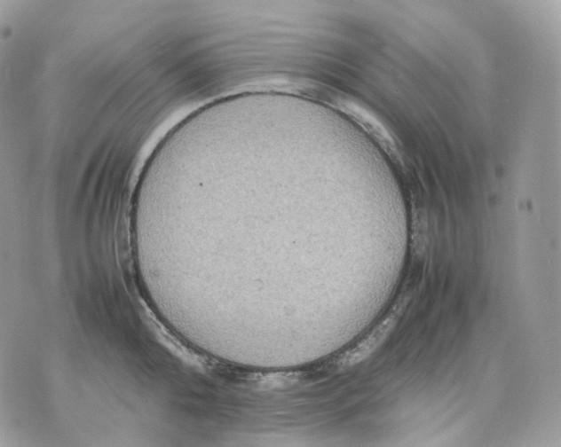 X0000075360808200609291459