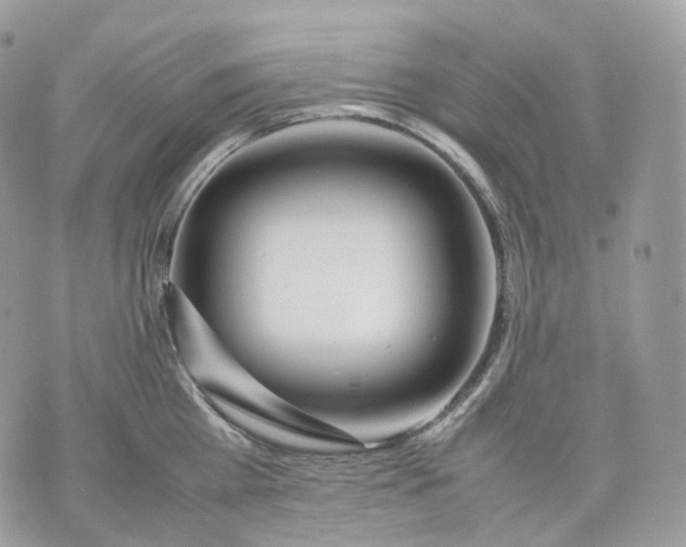 X0000075360809200609291459