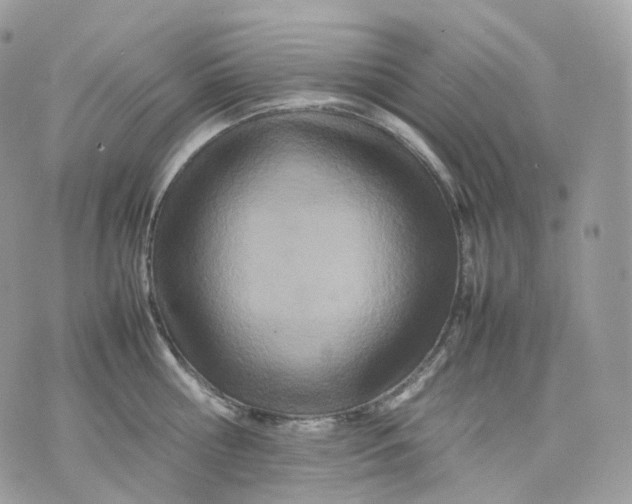 X0000075360810200609291459