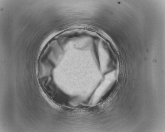 X0000075360811200609291459