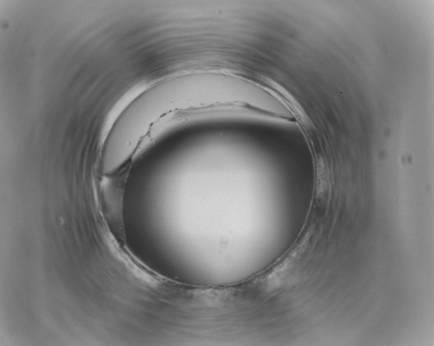 X0000075360812200609291459