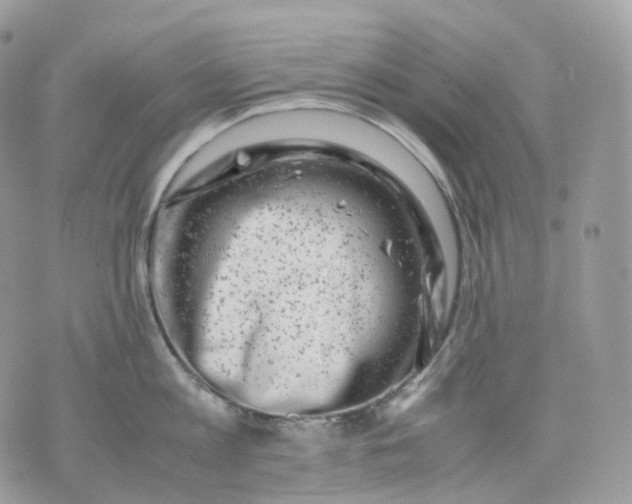 X0000075360813200609291459