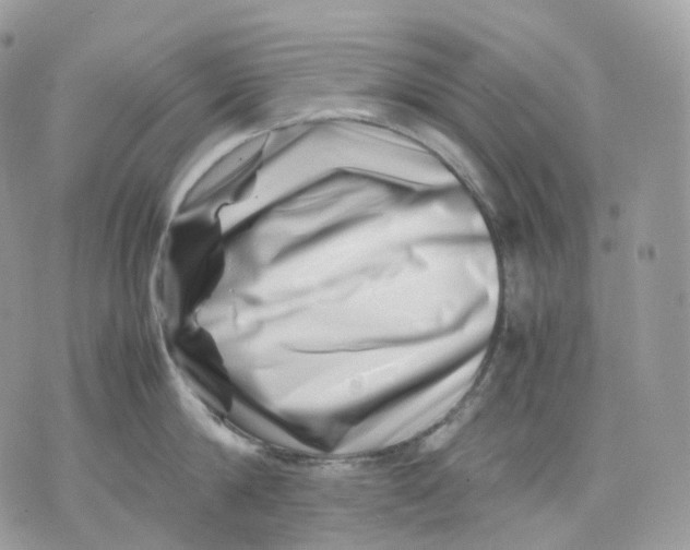 X0000075360814200609291459