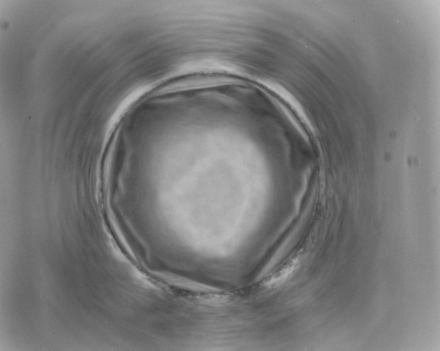 X0000075360815200609291459