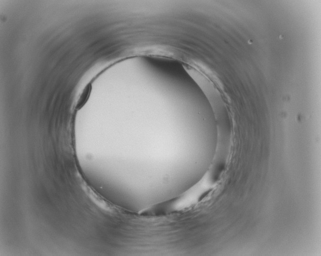 X0000075360816200609291459