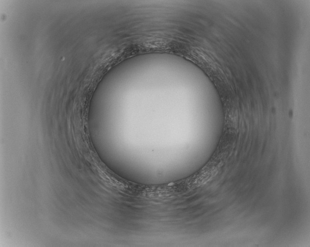 X0000075360817200609291458