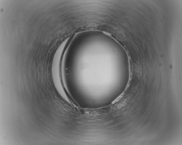 X0000075360818200609291458