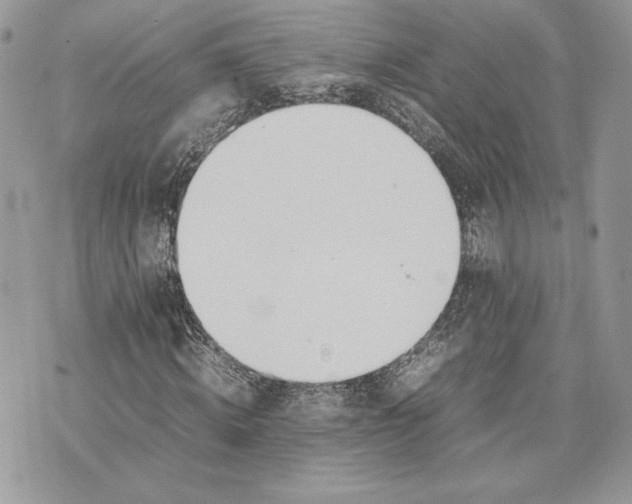 X0000075360820200609291458