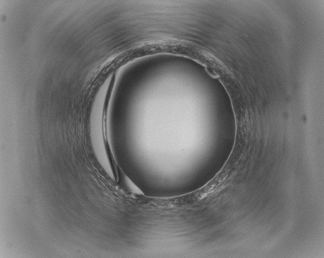 X0000075360822200609291458