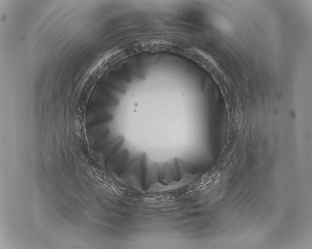 X0000075360823200609291458