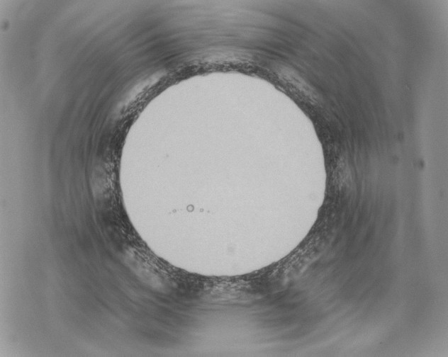 X0000075360824200609291458