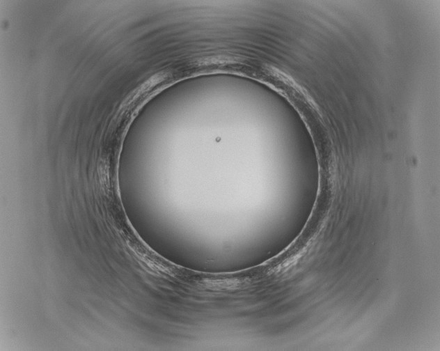 X0000075360825200609291458