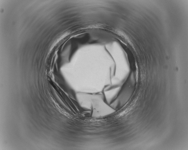 X0000075360827200609291458