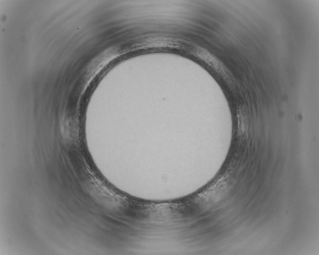 X0000075360828200609291458