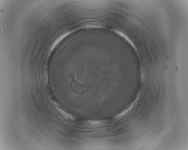 X0000075360829200609291458