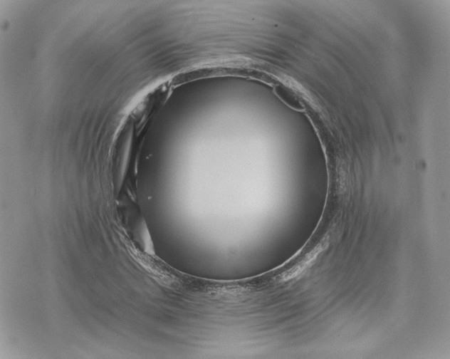 X0000075360830200609291458