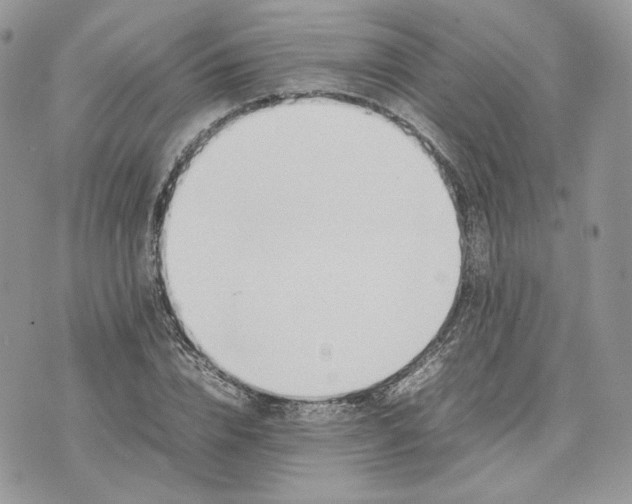 X0000075360832200609291459