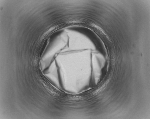 X0000075360833200609291459