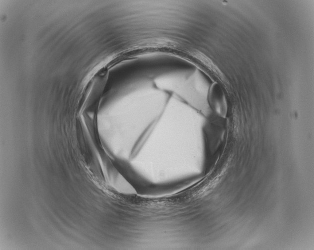 X0000075360834200609291459