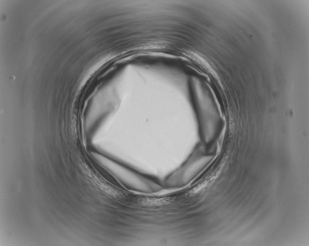 X0000075360835200609291459