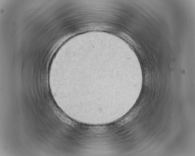 X0000075360836200609291459