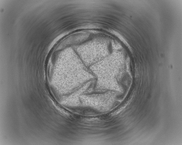 X0000075360837200609291459