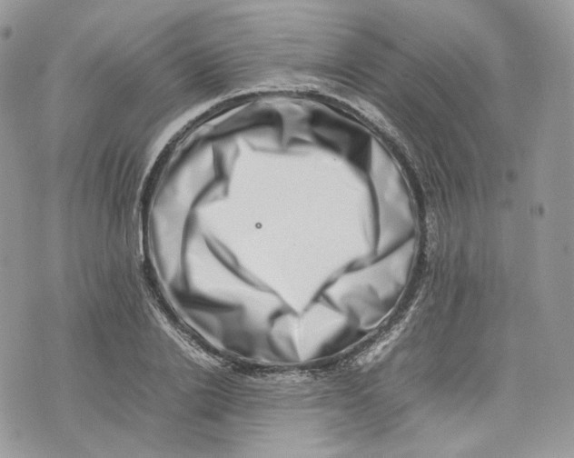 X0000075360838200609291459