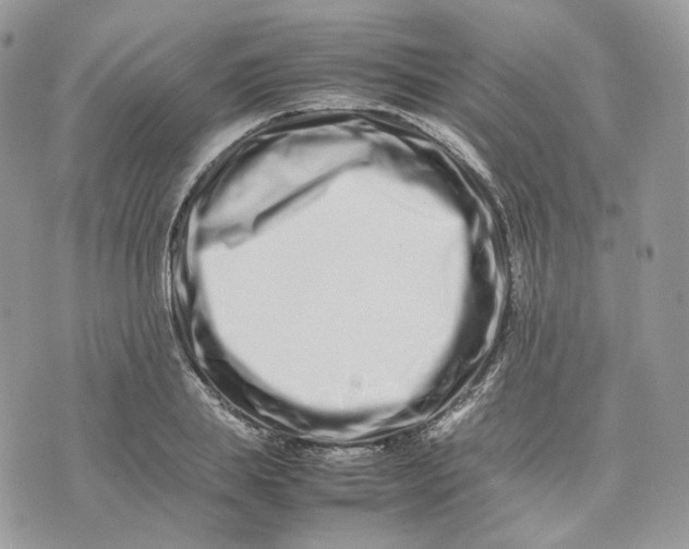 X0000075360839200609291459