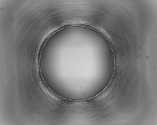 X0000075360840200609291459