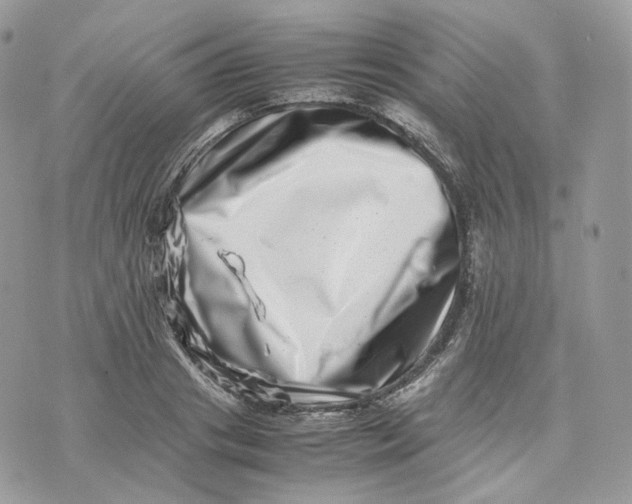 X0000075360841200609291459