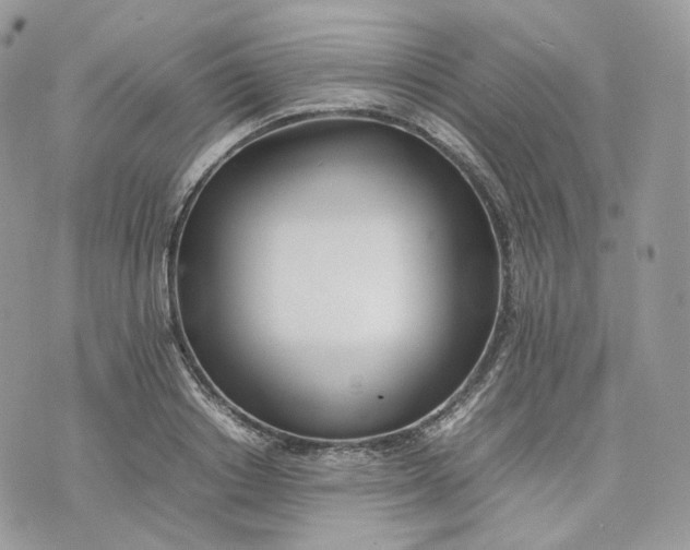 X0000075360842200609291459