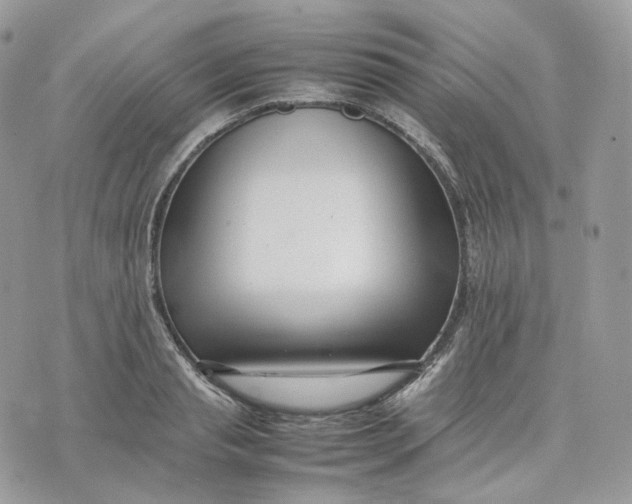 X0000075360845200609291459