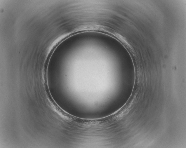 X0000075360846200609291459