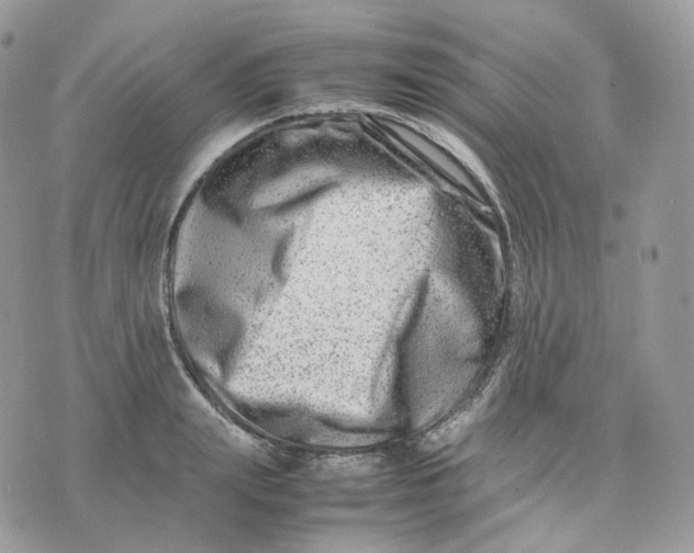 X0000075360847200609291459