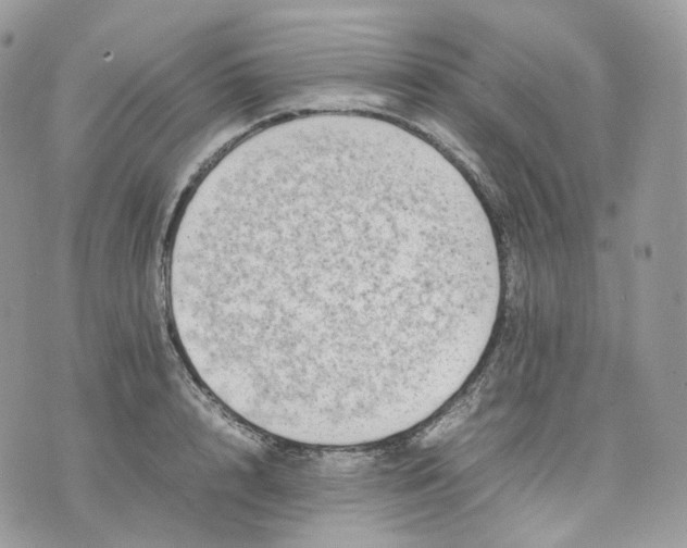 X0000075360848200609291459