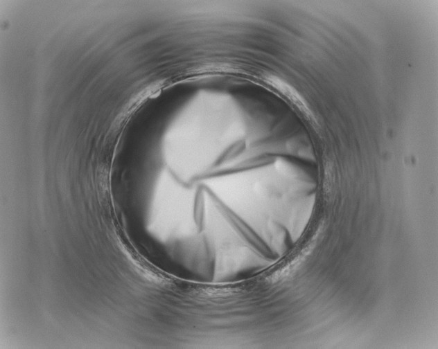 X0000075360849200609291459