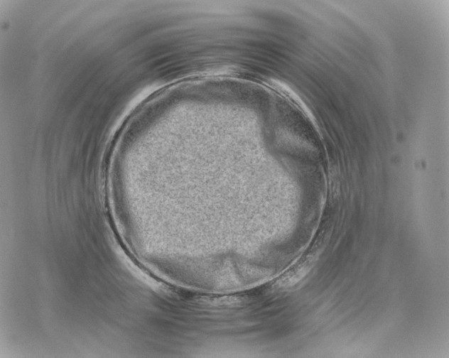 X0000075360851200609291459