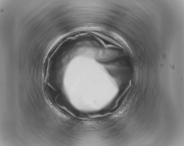 X0000075360852200609291459