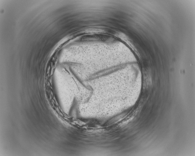 X0000075360853200609291459