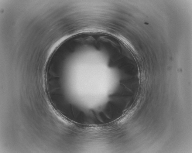 X0000075360854200609291459