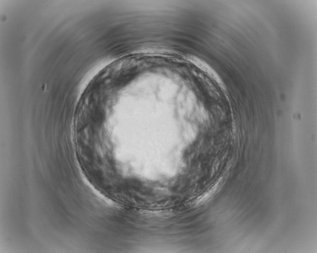 X0000075360855200609291459