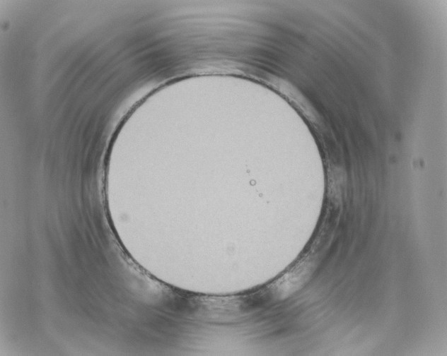 X0000075360856200609291459