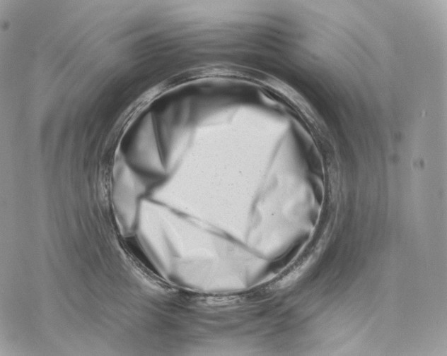 X0000075360857200609291459