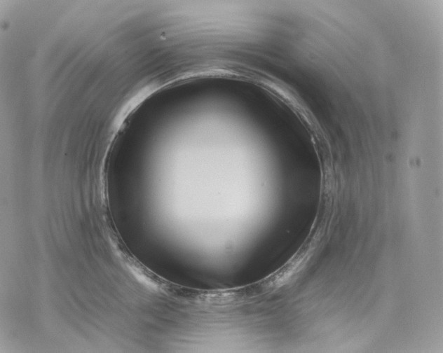 X0000075360858200609291459